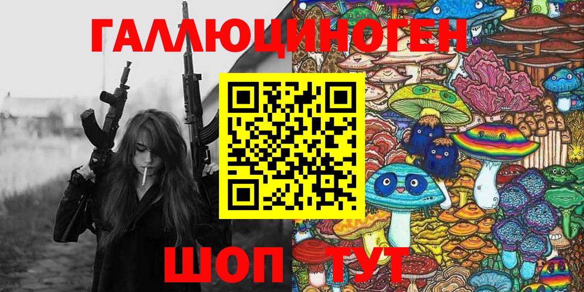 Галлюциногенные грибы Psilocybe Советская Гавань